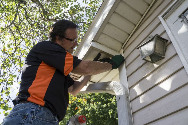 Home Improvement