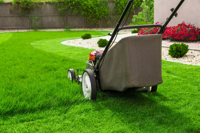 Essential Lawn Care Services For A Healthy Yard