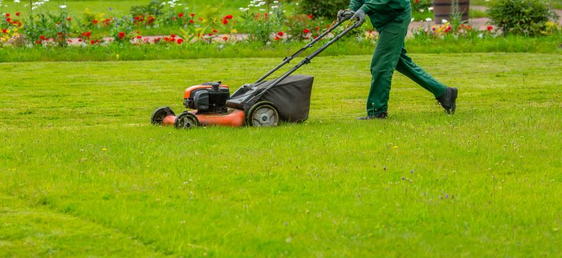 Essential Lawn Care Services For A Healthy Yard
