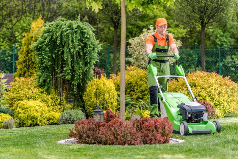 Essential Lawn Care Services For A Healthy Yard