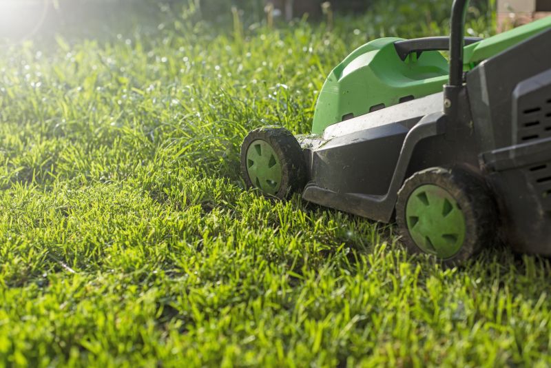 Essential Lawn Care Services For A Healthy Yard