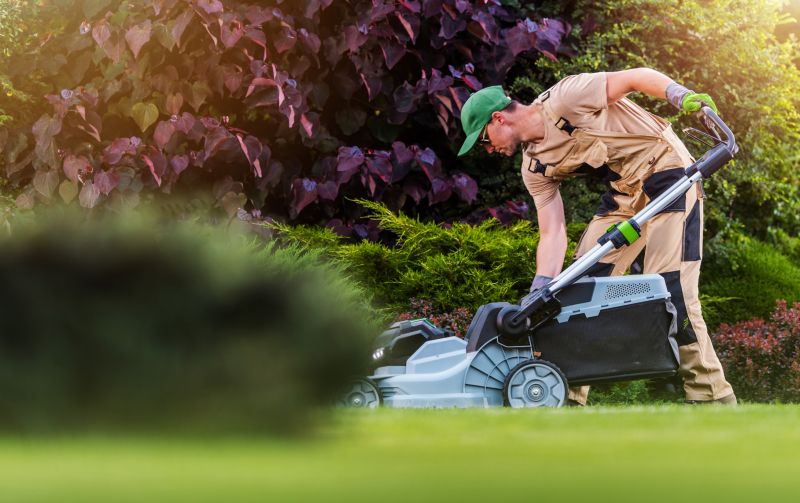 Essential Lawn Care Services For A Healthy Yard